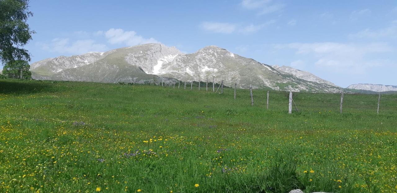 Durmitorski Konak Zabljak  Ngoại thất bức ảnh